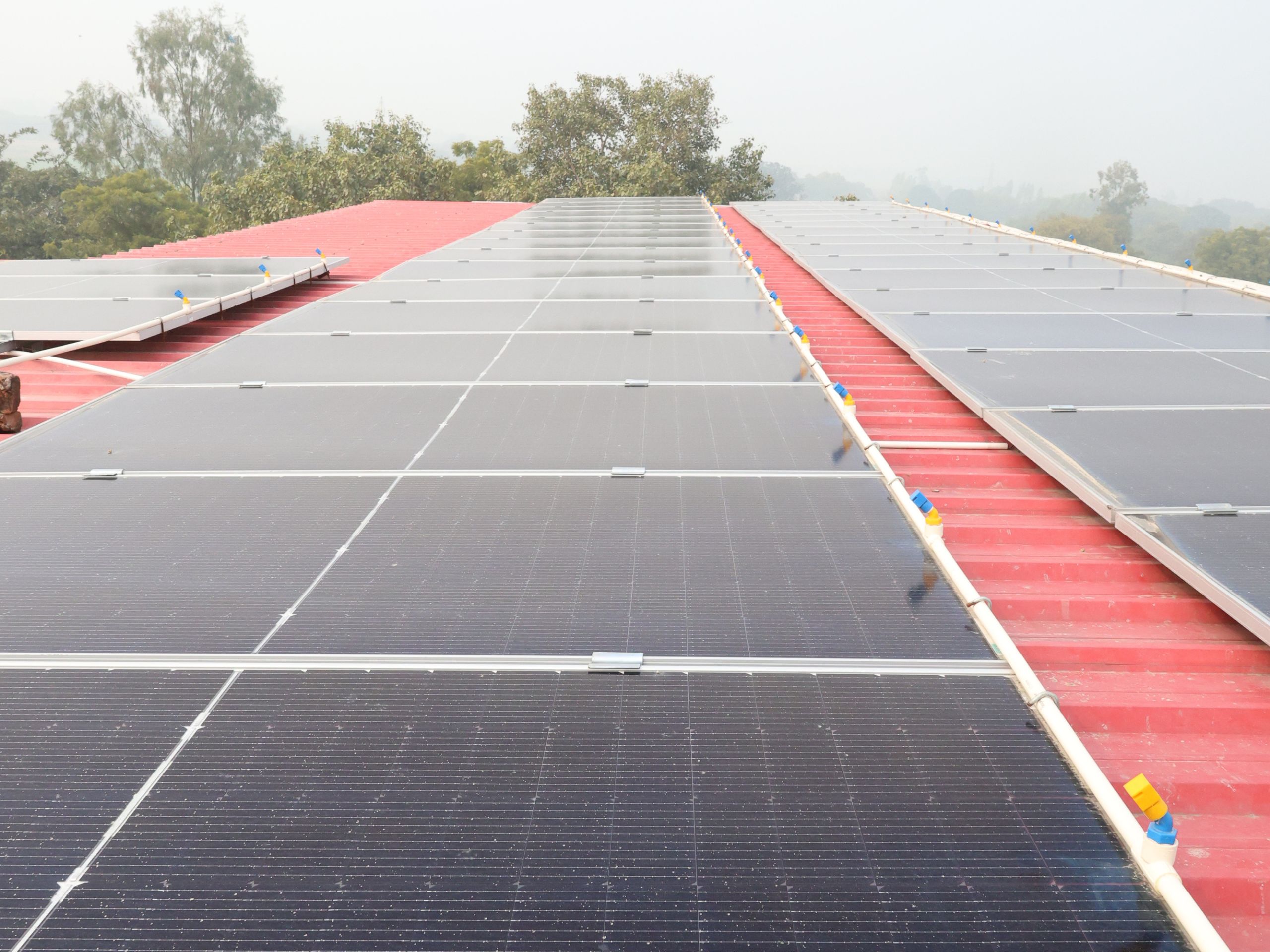 Untitled design - 2025-03-05T121757.198